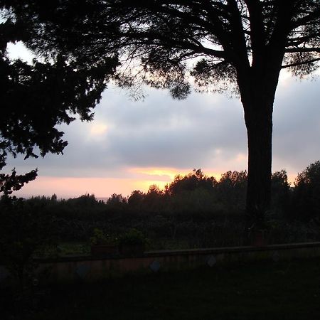 Ai Cipressi Bed & Breakfast Salemi ภายนอก รูปภาพ